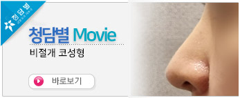 비절개코성형 …