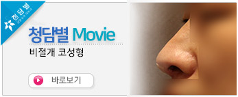 비절개 코성형 …