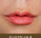 비절개입꼬리…